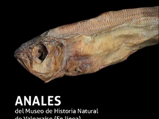 Revista Anales del Museo de Historia Natural de Valparaíso (En línea) volumen 33.