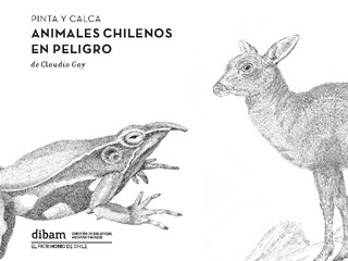 Pinta y calca I: Animales chilenos en peligro