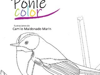 Ponle color, ilustraciones de Claudio Maldonado
