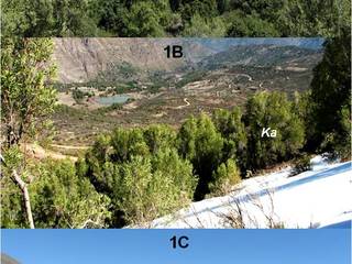 Fotografía 1.- Vegetación presente en el gradiente altitudinal de Santiago Andino, (1A) Bosque y Matorral esclerófilo mediterráneo andino (entre los 1000-2000 msnm) (1B) Límite del crecimiento arbóreo representado por comunidades de Olivillo  (Kageneckia angustifolia D. Don (Ka), entre los 2000 y 2500 msnm, (1C) Estepa alto andina, vegas (vs) y vegetación subnival en valles andinos de altura (2500-3600 msnm).